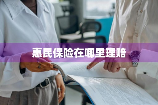 惠民保险在哪里理赔