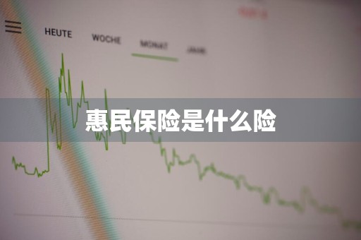 惠民保险是什么险