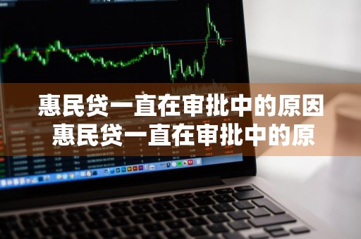 惠民贷一直在审批中的原因 惠民贷一直在审批中的原因是什么