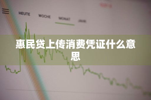 惠民贷上传消费凭证什么意思