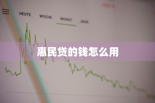 惠民贷的钱怎么用