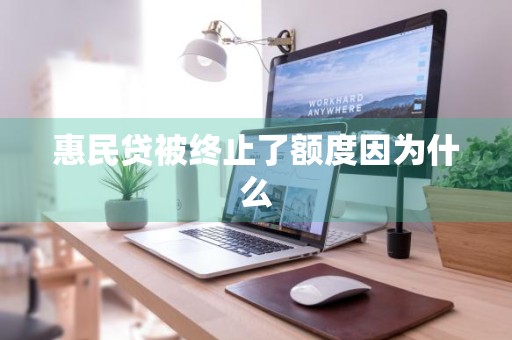 惠民贷被终止了额度因为什么