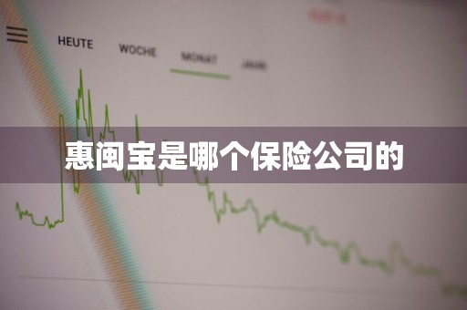 惠闽宝是哪个保险公司的