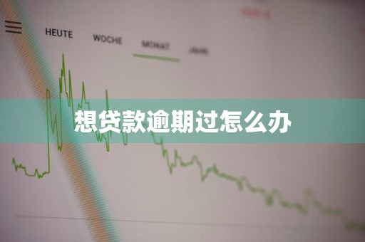 想贷款逾期过怎么办