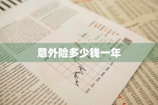 意外险多少钱一年