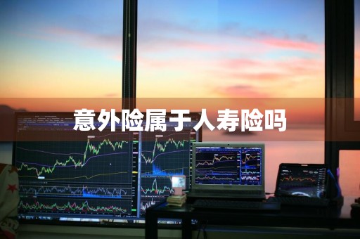 意外险属于人寿险吗