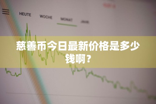 慈善币今日最新价格是多少钱啊？