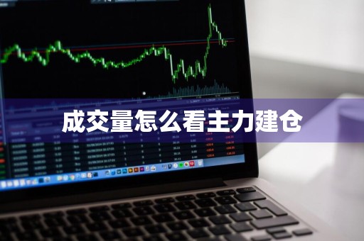 成交量怎么看主力建仓