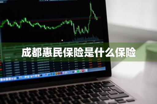成都惠民保险是什么保险