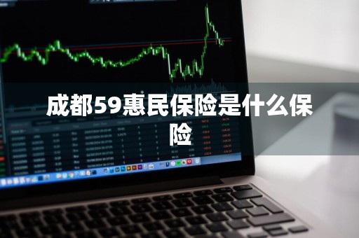 成都59惠民保险是什么保险