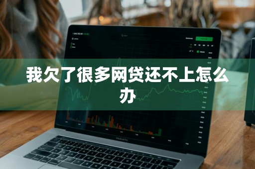 我欠了很多网贷还不上怎么办