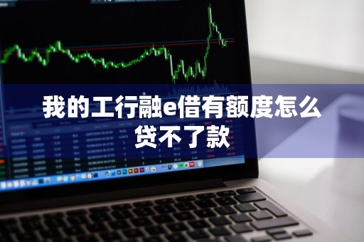 我的工行融e借有额度怎么贷不了款