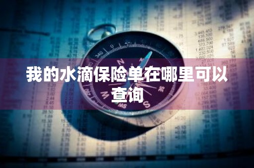 我的水滴保险单在哪里可以查询
