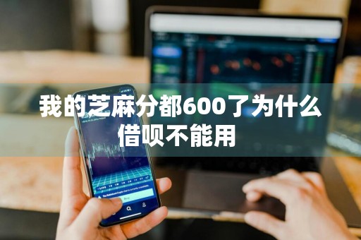 我的芝麻分都600了为什么借呗不能用 