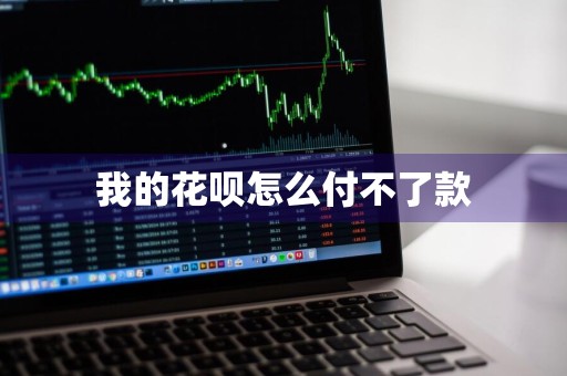 我的花呗怎么付不了款