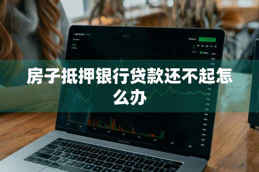 房子抵押银行贷款还不起怎么办