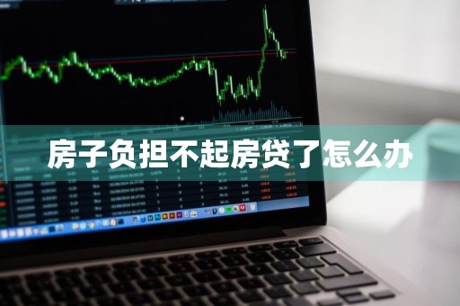 房子负担不起房贷了怎么办