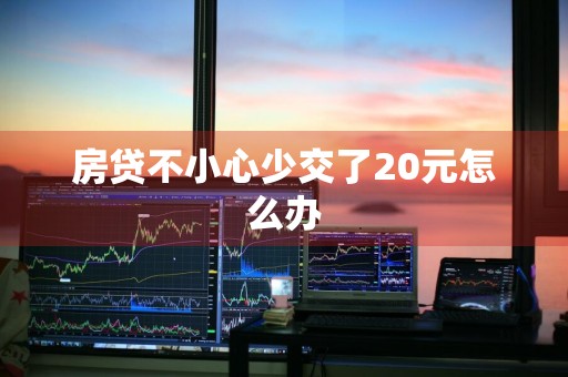 房贷不小心少交了20元怎么办