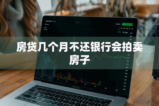 房贷几个月不还银行会拍卖房子