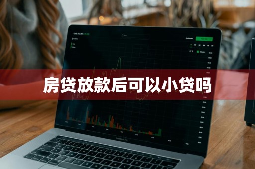 房贷放款后可以小贷吗