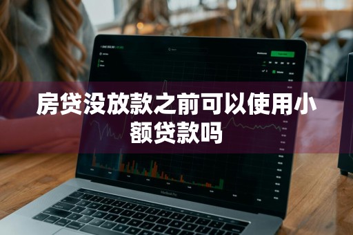 房贷没放款之前可以使用小额贷款吗