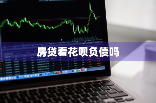 房贷看花呗负债吗