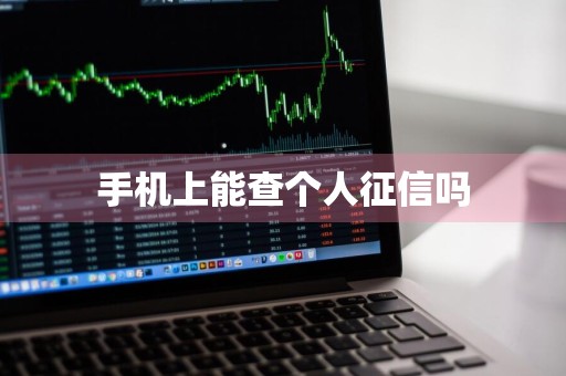 手机上能查个人征信吗