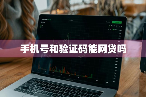 手机号和验证码能网贷吗
