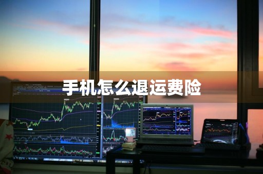 手机怎么退运费险