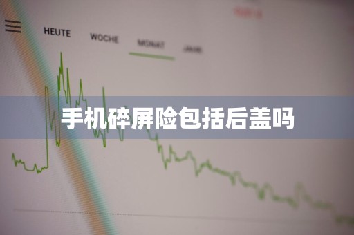 手机碎屏险包括后盖吗