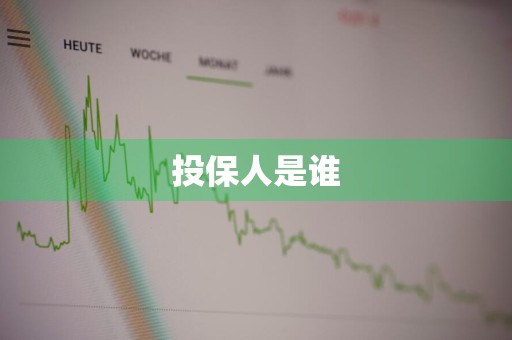 投保人是谁