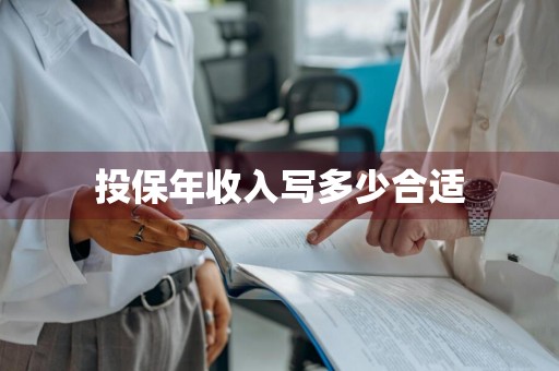 投保年收入写多少合适