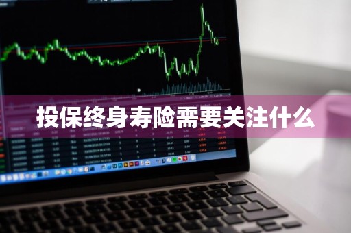 投保终身寿险需要关注什么
