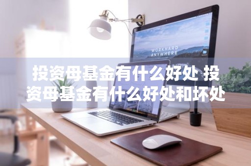 投资母基金有什么好处 投资母基金有什么好处和坏处