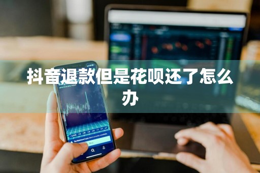 抖音退款但是花呗还了怎么办