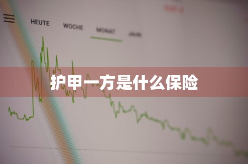 护甲一方是什么保险