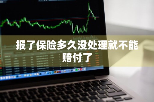报了保险多久没处理就不能赔付了