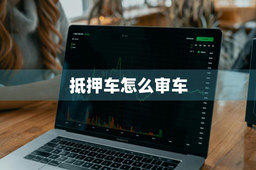 抵押车怎么审车