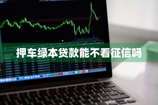押车绿本贷款能不看征信吗