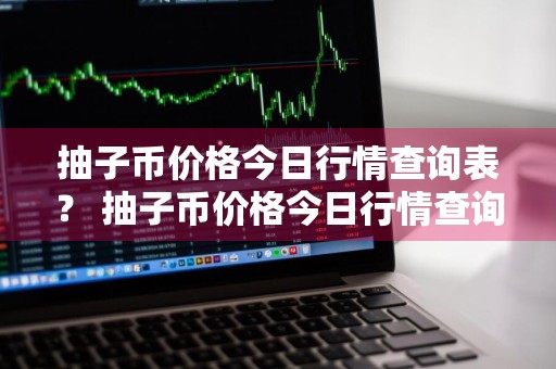 抽子币价格今日行情查询表？ 抽子币价格今日行情查询表