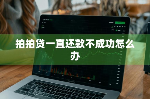 拍拍贷一直还款不成功怎么办