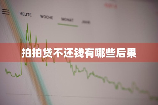 拍拍贷不还钱有哪些后果