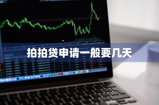 拍拍贷申请一般要几天