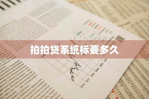 拍拍贷系统标要多久