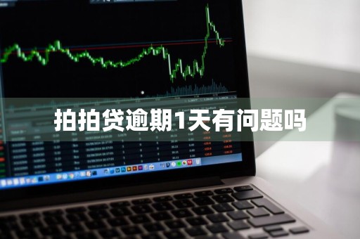 拍拍贷逾期1天有问题吗