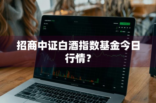 招商中证白酒指数基金今日行情？