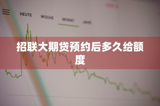招联大期贷预约后多久给额度