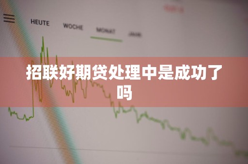 招联好期贷处理中是成功了吗