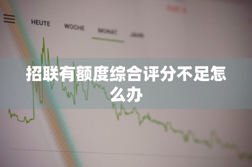 招联有额度综合评分不足怎么办
