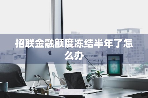 招联金融额度冻结半年了怎么办
